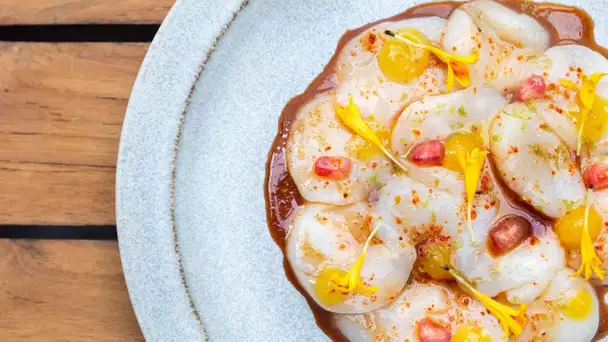 RECETTE #97 - Carpaccio de Saint-Jacques, grenade, citron confit curcuma - Fabrice Mignot