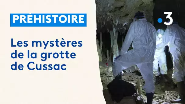 Préhistoire : enquête autour des mystères de la grotte de Cussac