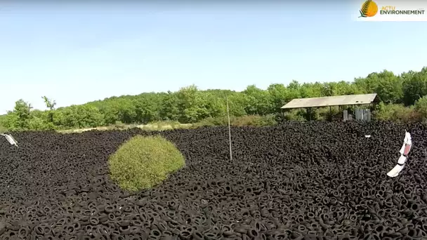 Des millions de pneus abandonnés en pleine nature !