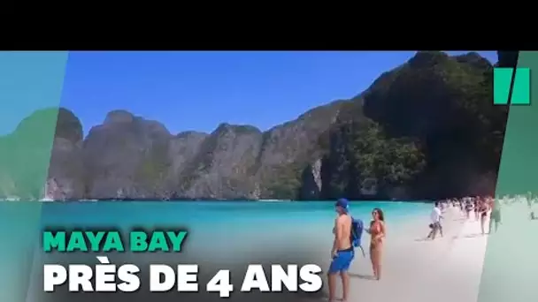 La Maya Bay de "La Plage" rouvre aux touristes en Thaïlande