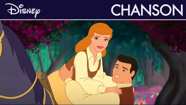 Le sortilège de Cendrillon - Une très belle année I Disney