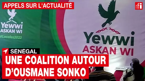 Sénégal : une coalition autour d'Ousmane Sonko • RFI