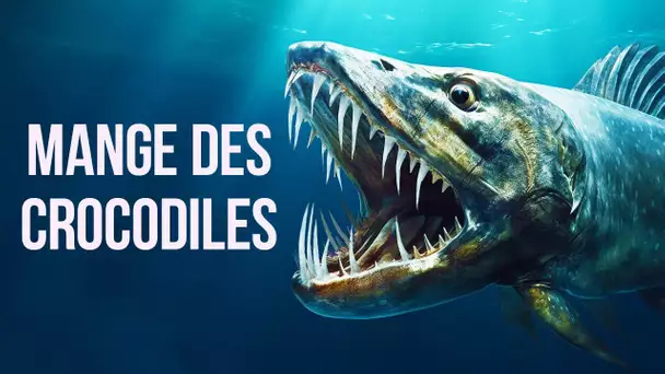 Ce poisson mange des crocodiles + 14 faits uniques sur les animaux