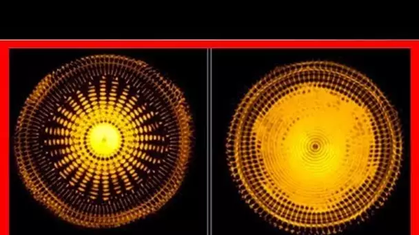 Le Pouvoir de la vibration : Voici pourquoi vous devez changer la fréquence de votre musique à 432