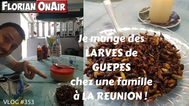 Je mange des LARVES DE GUEPES chez une famille à LA REUNION - VLOG #353