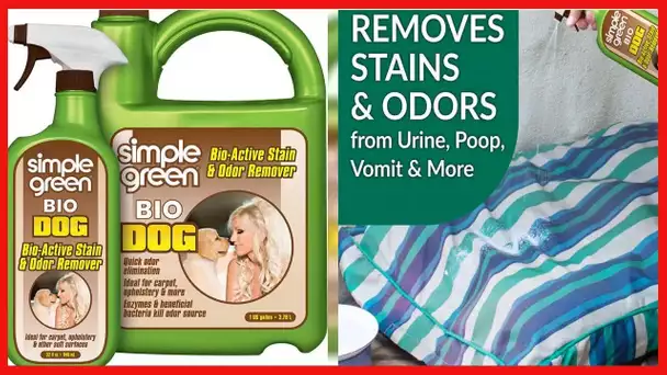 Simple Green Bio Dog Active Stain & Odor Remover - Enzyme Cleaner & Stain Remover for Carpet, Rugs
