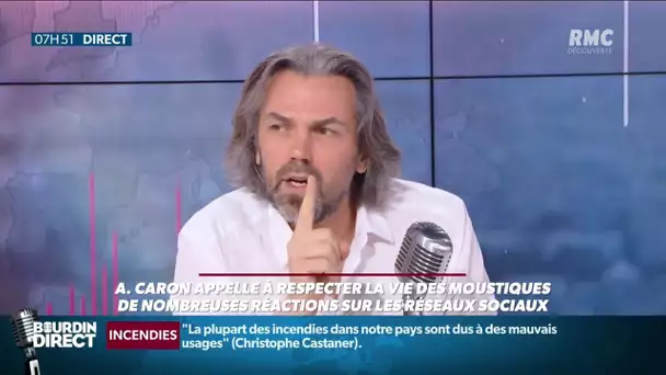 Aymeric Caron revient sur la "polémique" autour de son édito sur la défense du moustique