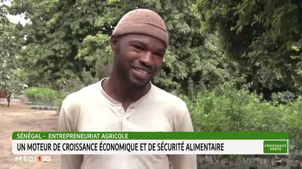 Sénégal - Entrepreneuriat agricole: Un moteur de croissance économique et de sécurité alimentaire