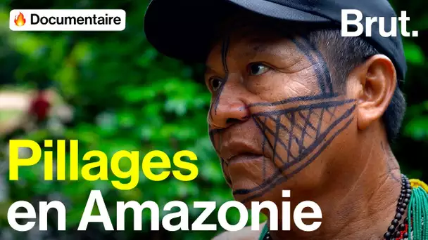 Munduruku : ces terres indigènes sont pillées pour leur or