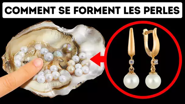 Comment Et Pourquoi Les Huîtres Font-Elles Des Perles ?