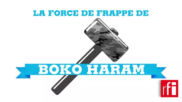 #POSTER - La force de frappe de Boko Haram