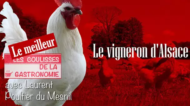 Le vigneron d'Alsace - Le meilleur des coulisses de la gastronomie - TVL