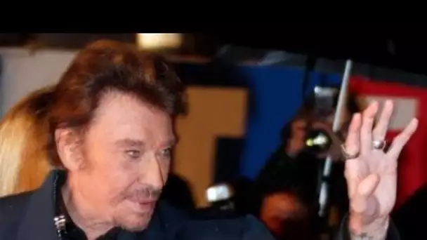 Sylvie Vartan n&#039;a aucun doute sur « la première vraie famille de Johnny Hallyday »