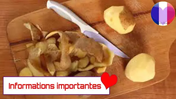 Ne jetez plus vos épluchures de pomme de terre ! Voici pourquoi