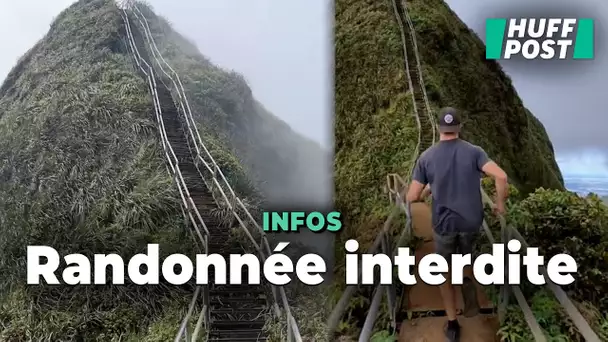 « L’escalier du paradis » d’Hawaï, aussi iconique que dangereux, va être démantelé fin avril