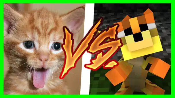 MINECRAFT VS LA VRAIE VIE 9