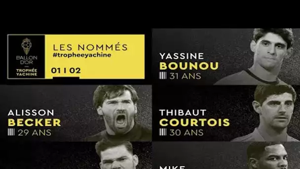 la liste complète des nommés pour le Trophée Yachine - Foot - Palmares