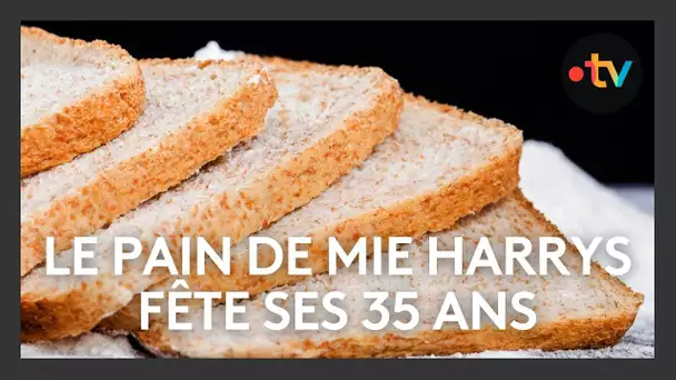 L'entreprise Harrys Barilla fête ses 35 ans