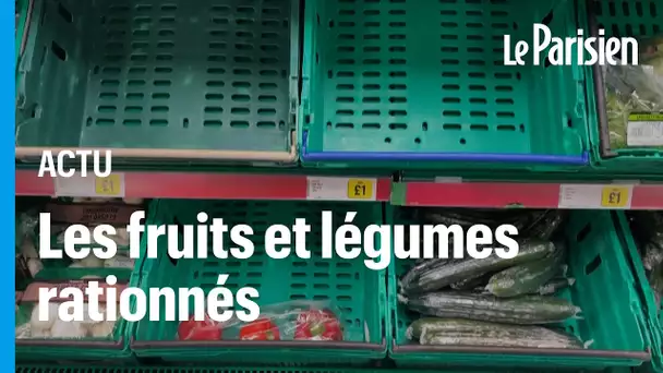 Pénuries au Royaume-Uni : des supermarchés rationnent les fruits et légumes