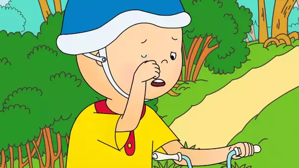 Caillou et le Vélo Cassé | Caillou en Français