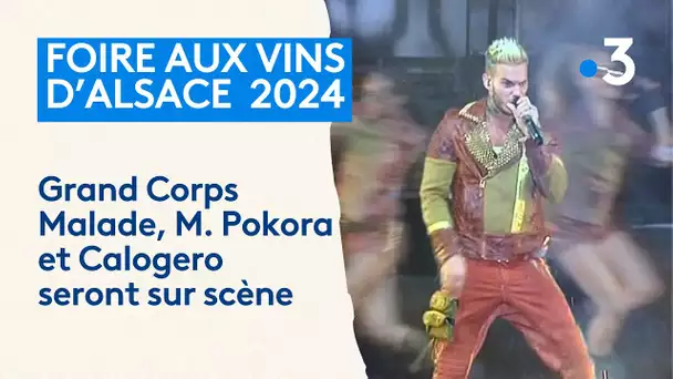 Foire aux vins de Colmar : découvrez la programmation de l'édition 2024