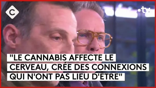 Cannabis, une enquête de Mathieu Kassovitz & Antoine Robin - C à Vous - 01/04/2024