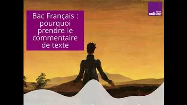 Bac Français : pourquoi choisir le commentaire de texte ?
