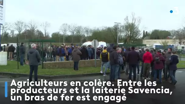 Agriculteurs en colère. Entre les producteurs et la laiterie Savencia, un bras de fer est engagé