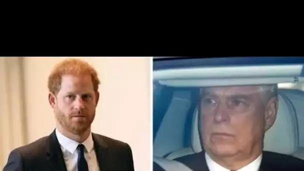 Le Dr Shola RAGES à la famille royale alors qu'Andrew assure la sécurité pendant que Harry s'en pass