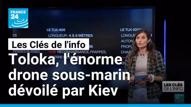 Vous connaissez le Toloka ? • FRANCE 24