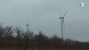 Près de la montagne Sainte-Victoire, le vent de la discorde souffle sur un parc d'éoliennes
