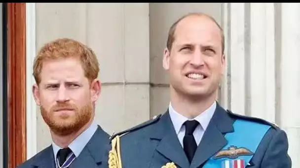 Harry espère que le grand frère William « pourra voir les avantages de la thérapie » en plaidant pou