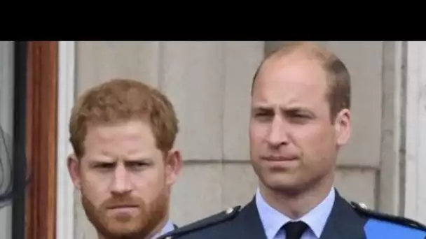 Prince William : « profondément affecté » par les révélations du prince Harry...