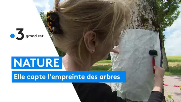 Constance Fulda, l'artiste qui capte l'empreinte des arbres