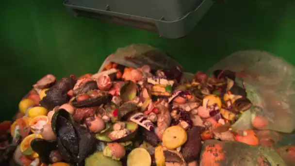 Ad'oc :" Hector le collector" la solution en ville pour valoriser vos déchets alimentaires