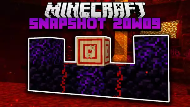 Minecraft Snapshot 20w09 - Target bloc & Crying Obsidian - Nether Update
