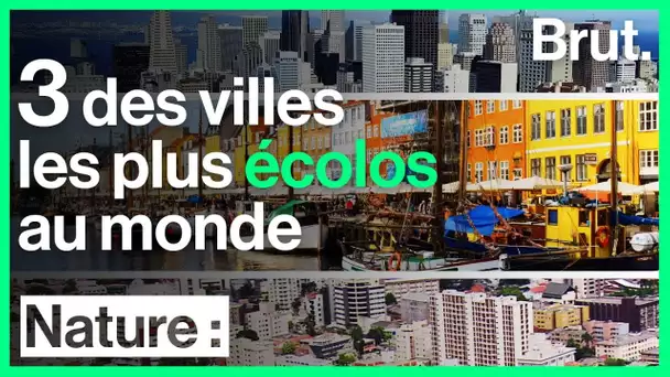 3 des villes les plus écolos au monde