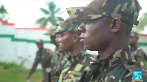 En Côte d'Ivoire, une "armée verte" contre la déforestation • FRANCE 24