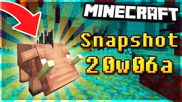 LA NETHER UPDATE EST LÀ - Minecraft 1.16 Snapshot 20w06a