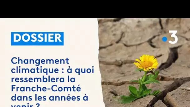 Changement climatique, sécheresse... À quoi ressemblera la Franche-Comté dans les années à venir ?