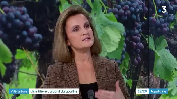 Crise viticole à Bordeaux le collectif de vignerons réclame d'urgence un plan d'arrachage primé