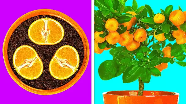 24 ASTUCES POUR FAIRE FACILEMENT POUSSER TES PROPRES PLANTES