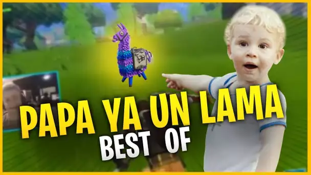 BEST OF - PAPA YA UN LAMA ! - FORTNITE BATTLE ROYAL FR