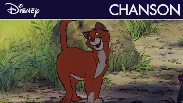 Les Aristochats - Thomas O&#039;Malley I Disney