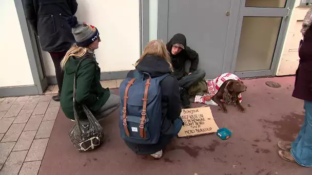 Rouen : des cadeaux pour des personnes SDF grâce au moteur de recherche Lilo