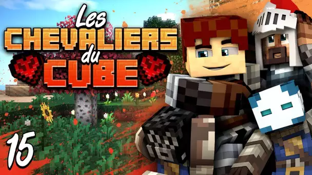 Chevaliers du Cube #15 - La chasse aux phantoms