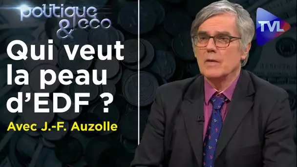 Qui veut la peau d’EDF ? - Politique & Eco n°295 avec Jean-François Auzolle - TVL