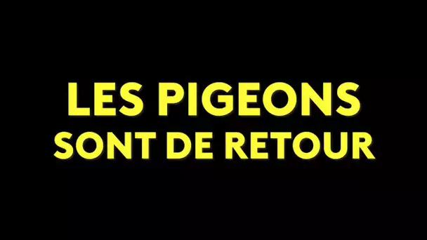 Les Pigeons sont de retour avec une nouvelle saison !