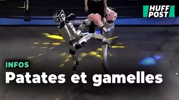 En Chine, le premier combat de boxe disputé par des robots était surtout hilarant
