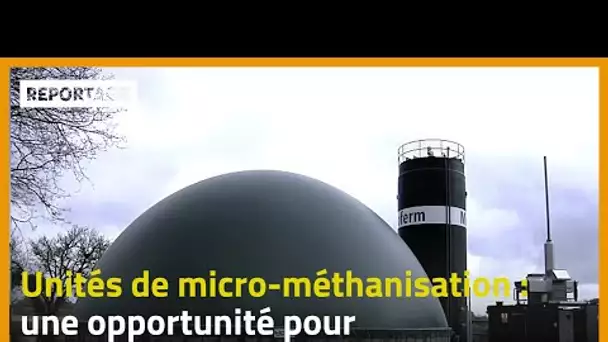 Unités de micro-méthanisation : une opportunité pour généraliser la méthanisation à la ferme